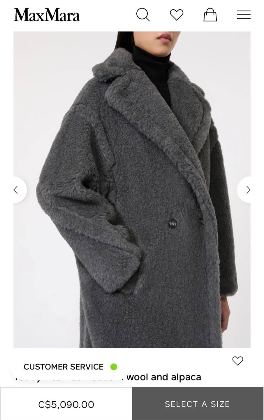 Max Mara Teddy Bear Coat - Wool & Alpaca image indicator(2)