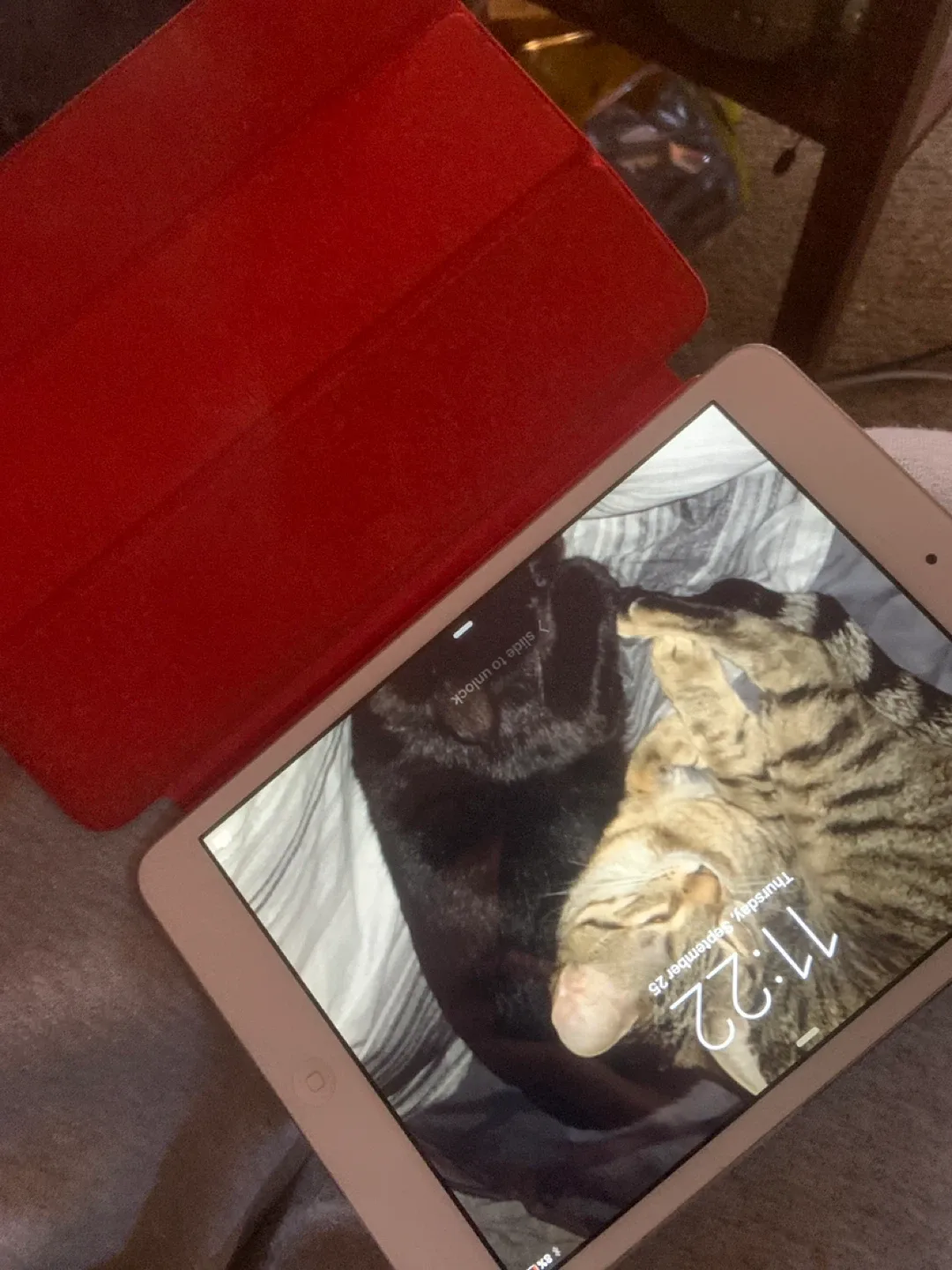 Apple iPad Mini Silver image indicator(2)