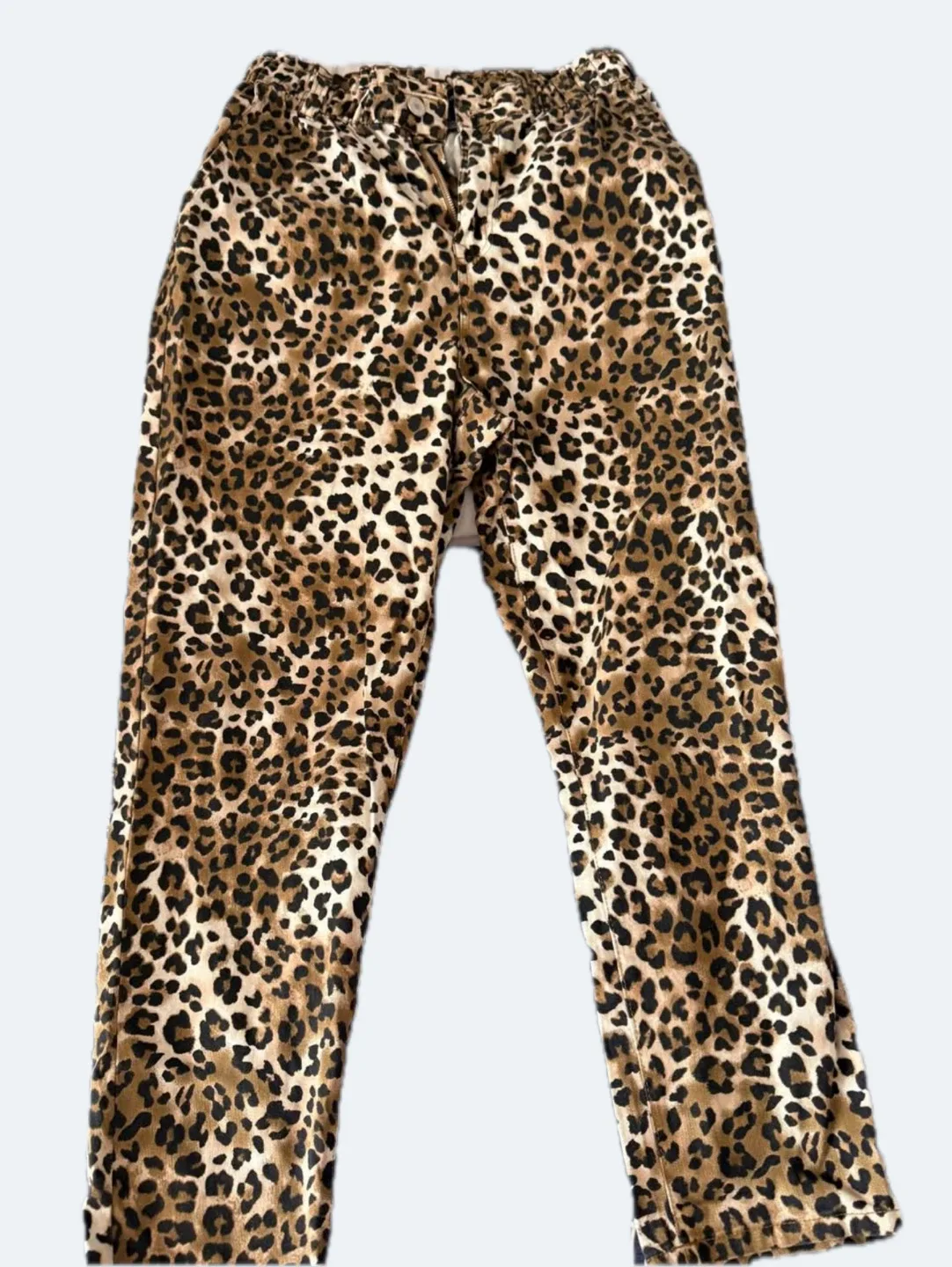 Leopard Print Pants thumbnail