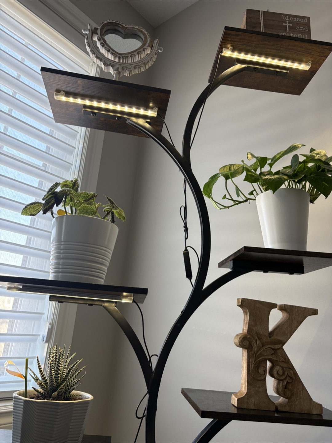 LED Plant Grow Light Stand with Cabinet - photo 2