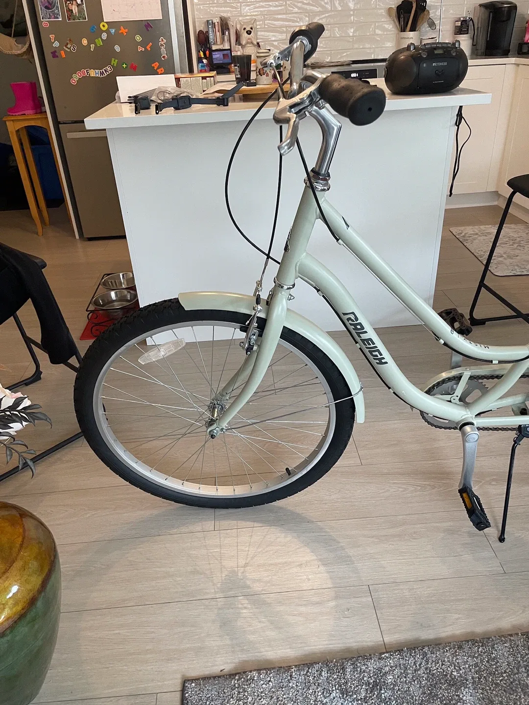 Raleigh Cruiser Bike - Mint Green image indicator(3)