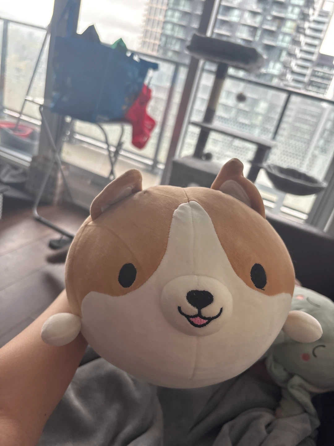 Corgi Plush Pillow - photo 3