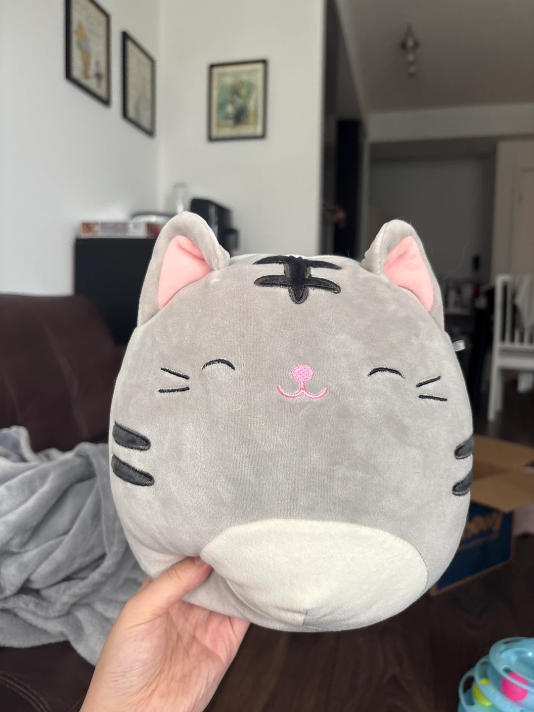 Squishmallows Cat Plush - Grey