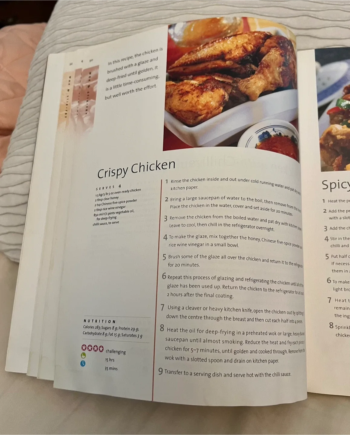 Wok and Stir Fry cookbook image indicator(3)