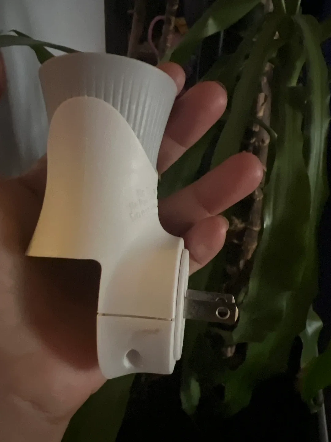 Wallflowers Plug thumbnail