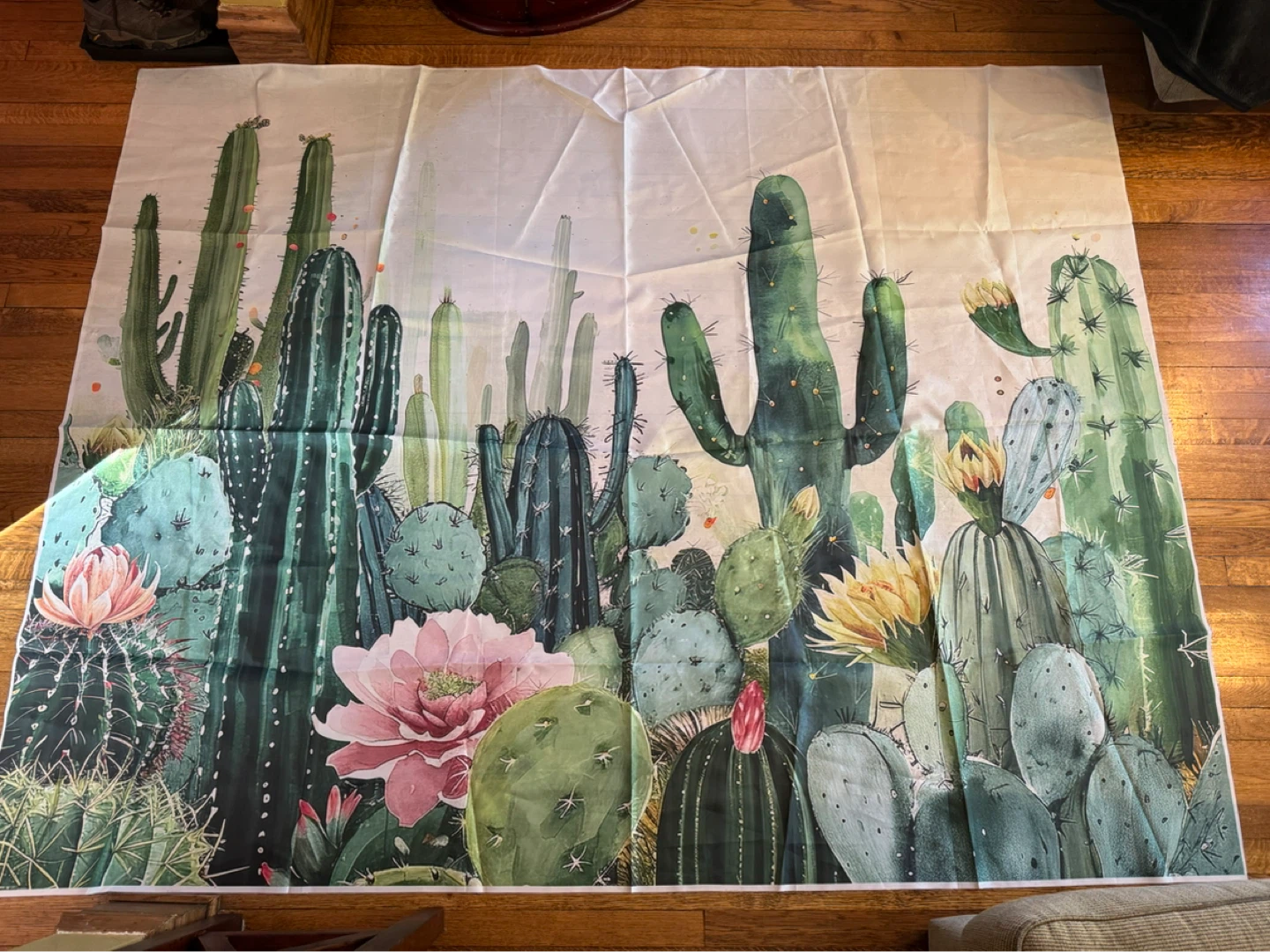Cactus Print Backdrop
