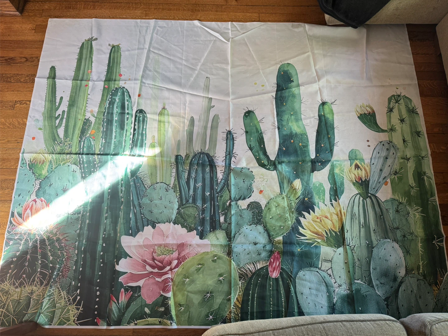Cactus Print Backdrop - photo 2