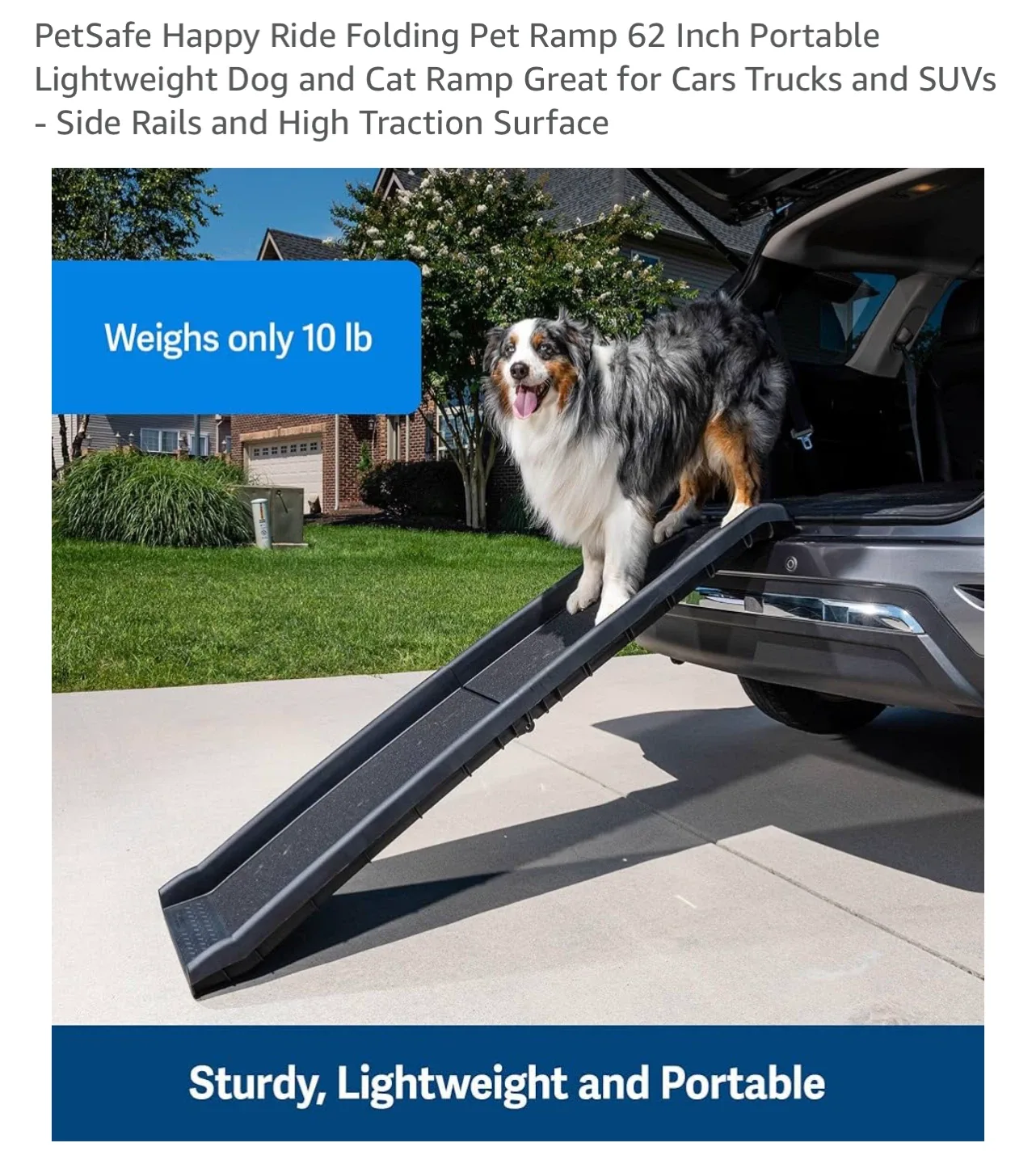 Heavy duty PetSafe Happy Ride Folding Pet Ramp - 62 Inch image indicator(7)