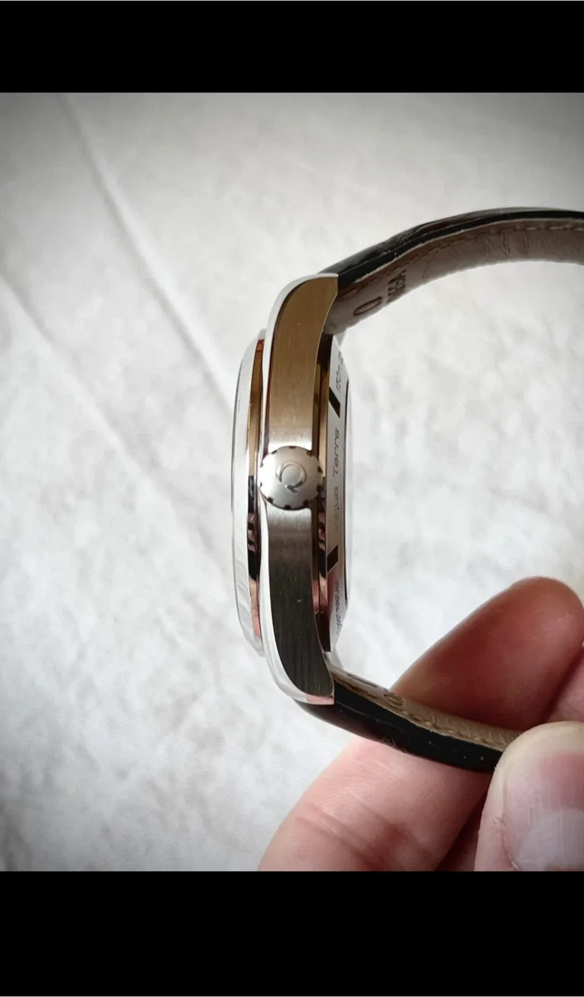 Omega Seamaster Aqua Terra GMT Watch image indicator(4)