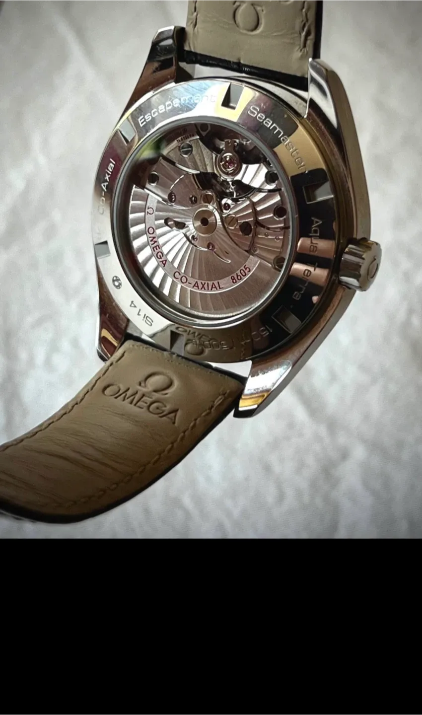 Omega Seamaster Aqua Terra GMT Watch image indicator(3)