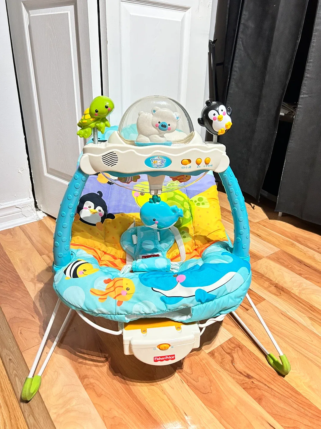 Fisher-Price Precious Planet Bouncer thumbnail