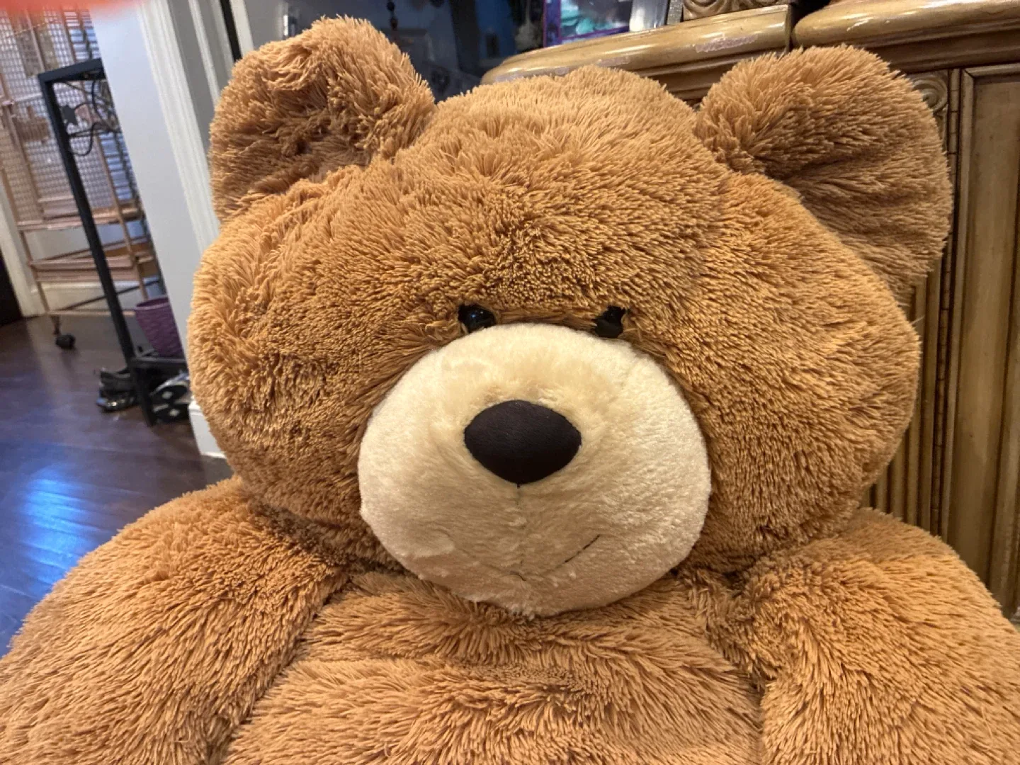 Giant Teddy Bear image indicator(5)