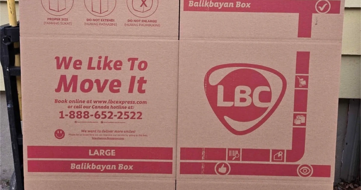 Hugging Lbc Box LBC Balikbayan Box - Large Moving Box | Karrot