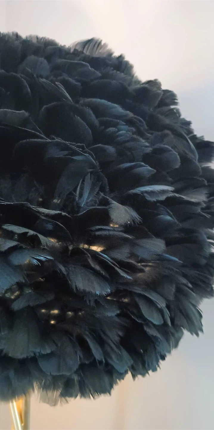 Feather Floor Lamp - Black & Gold - photo 3