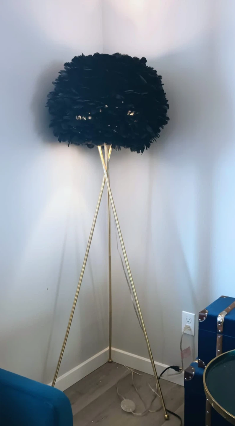 Feather Floor Lamp - Black & Gold