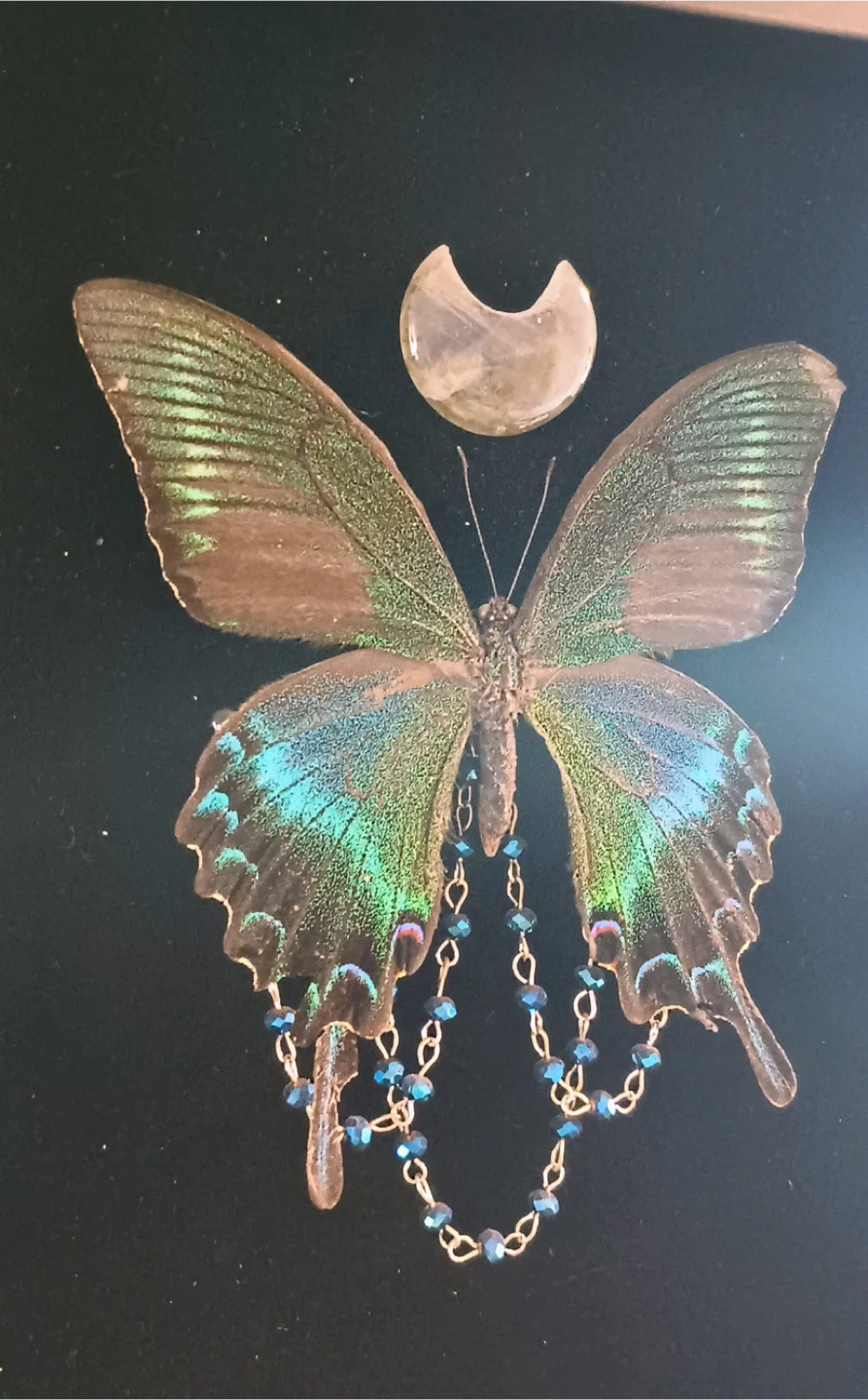 Framed Butterfly Art - photo 2