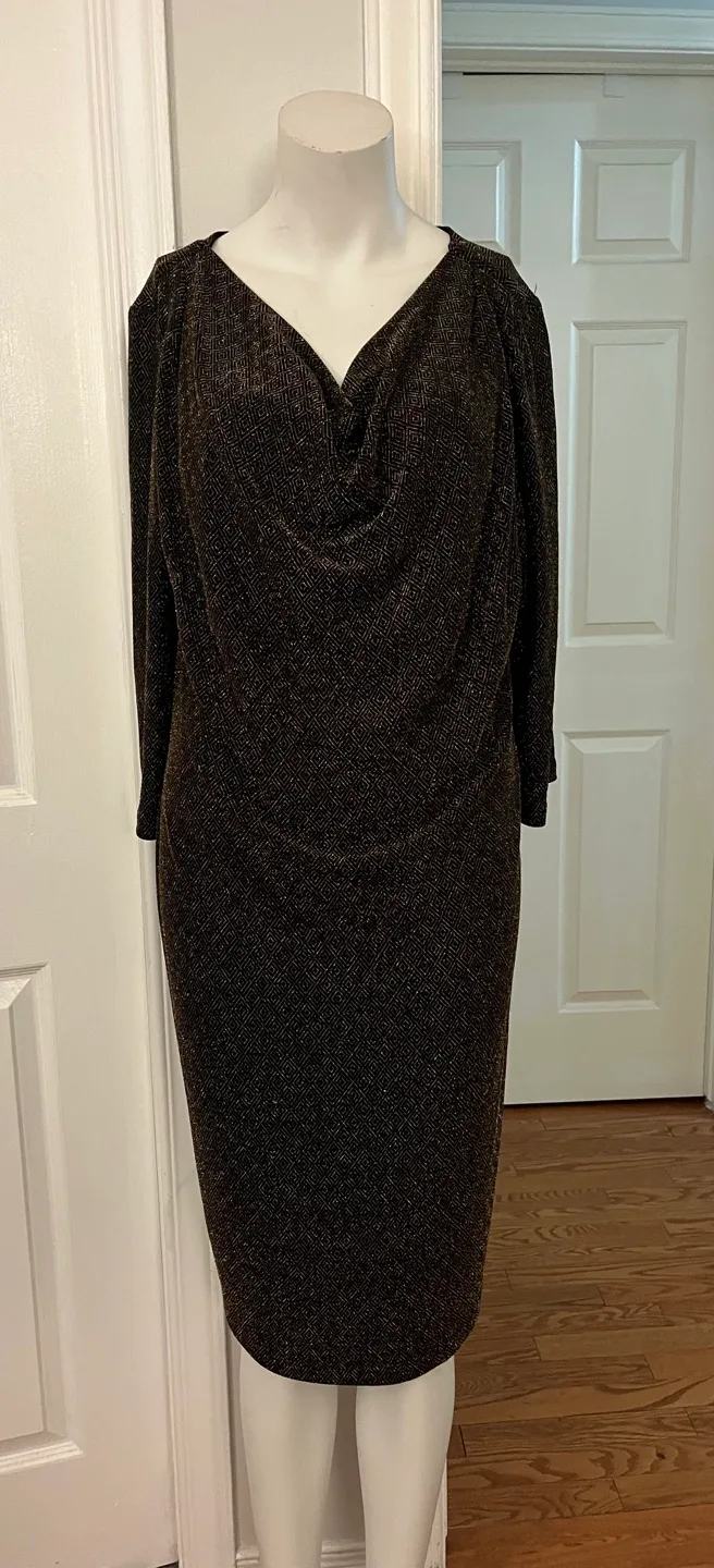 Cleo Dress Size 16 image indicator(4)