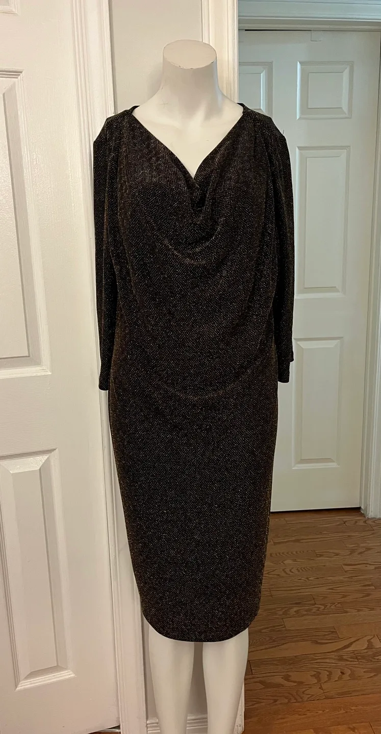 Cleo Dress Size 16 image indicator(5)