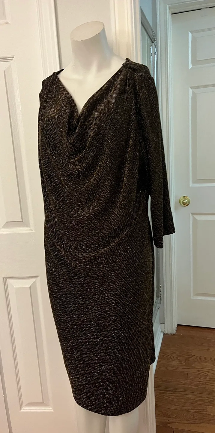 Cleo Dress Size 16 image indicator(8)