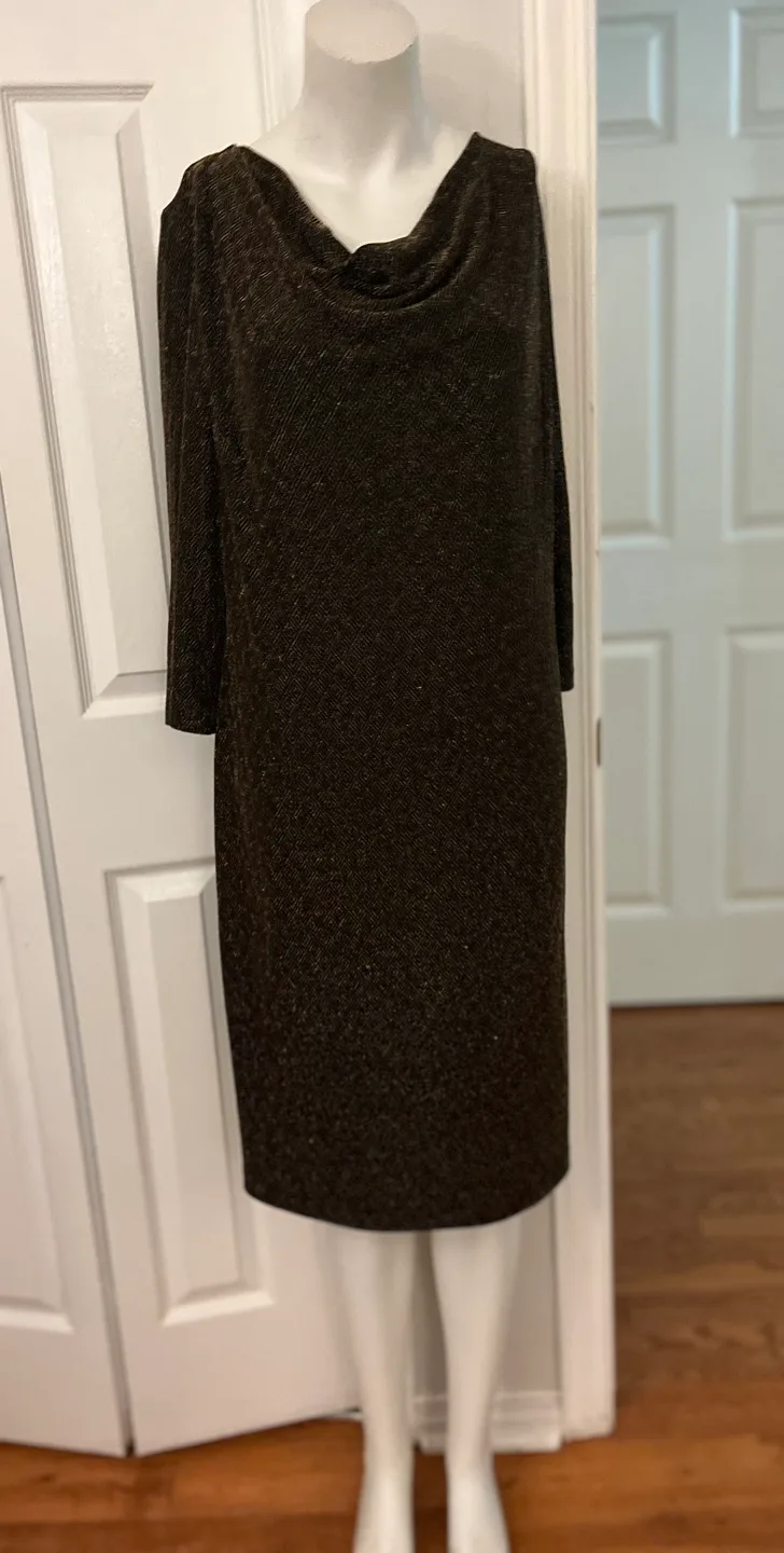 Cleo Dress Size 16 image indicator(7)