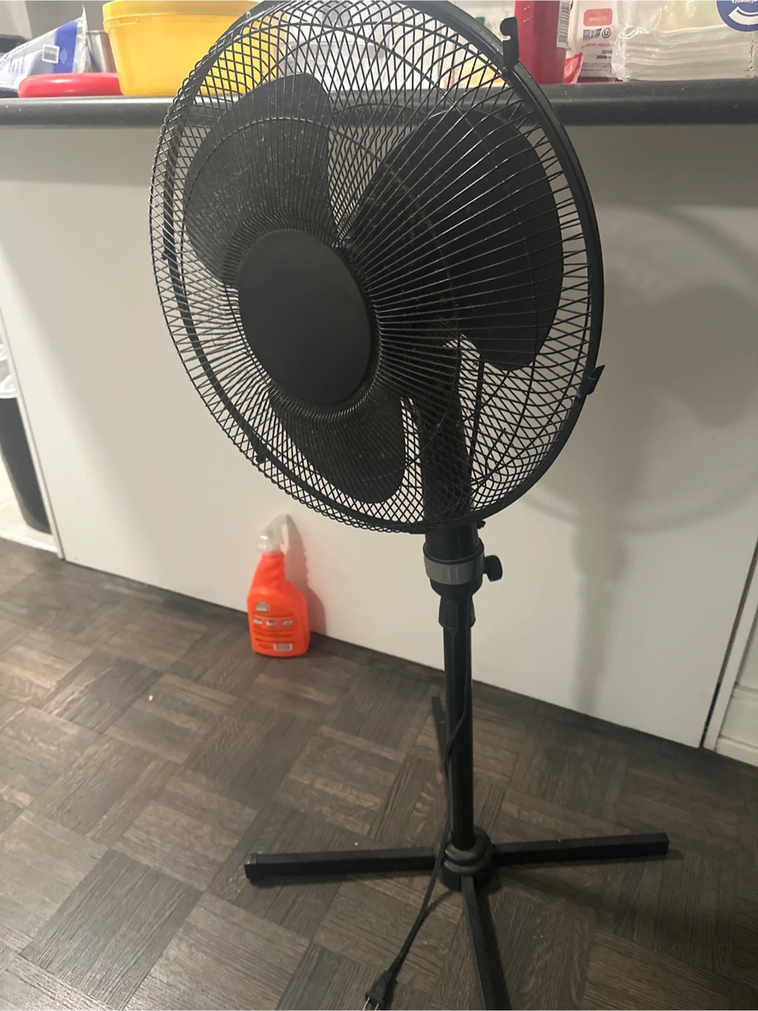 Black Standing Fan - photo 2