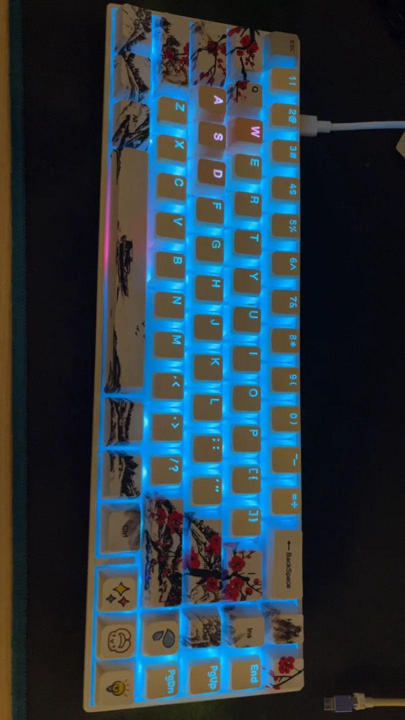 Custom Mechanical Keyboard - 60% Layout