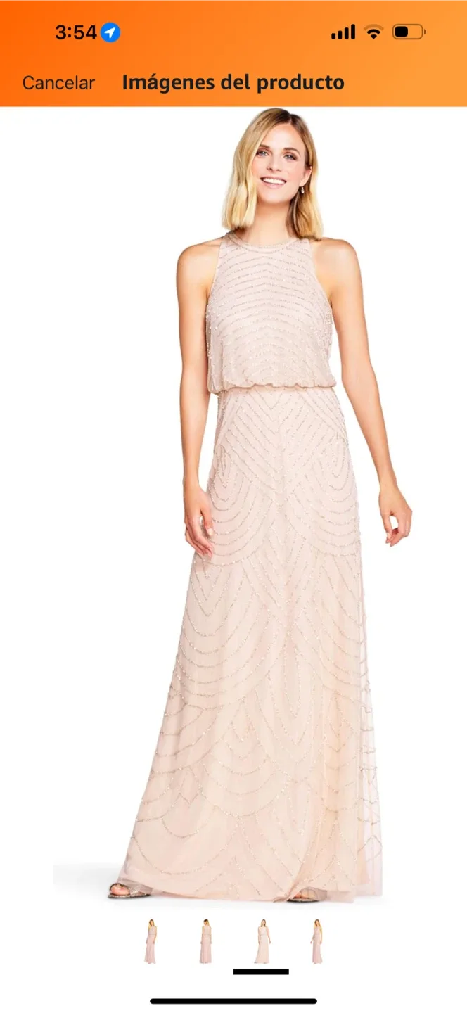 Adrianna Papell Beaded Gown - Size 6 image indicator(3)