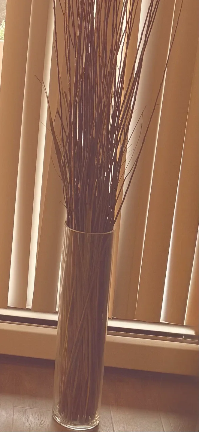 IKEA Cylinder Vase, Clear Glass, 26 3/4" thumbnail