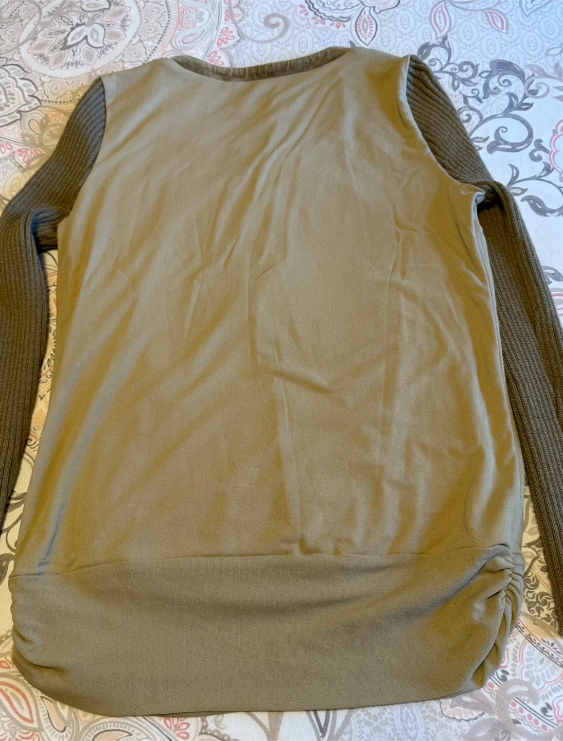 Women Beige/ light brown Long Sleeve Top-medium image indicator(4)