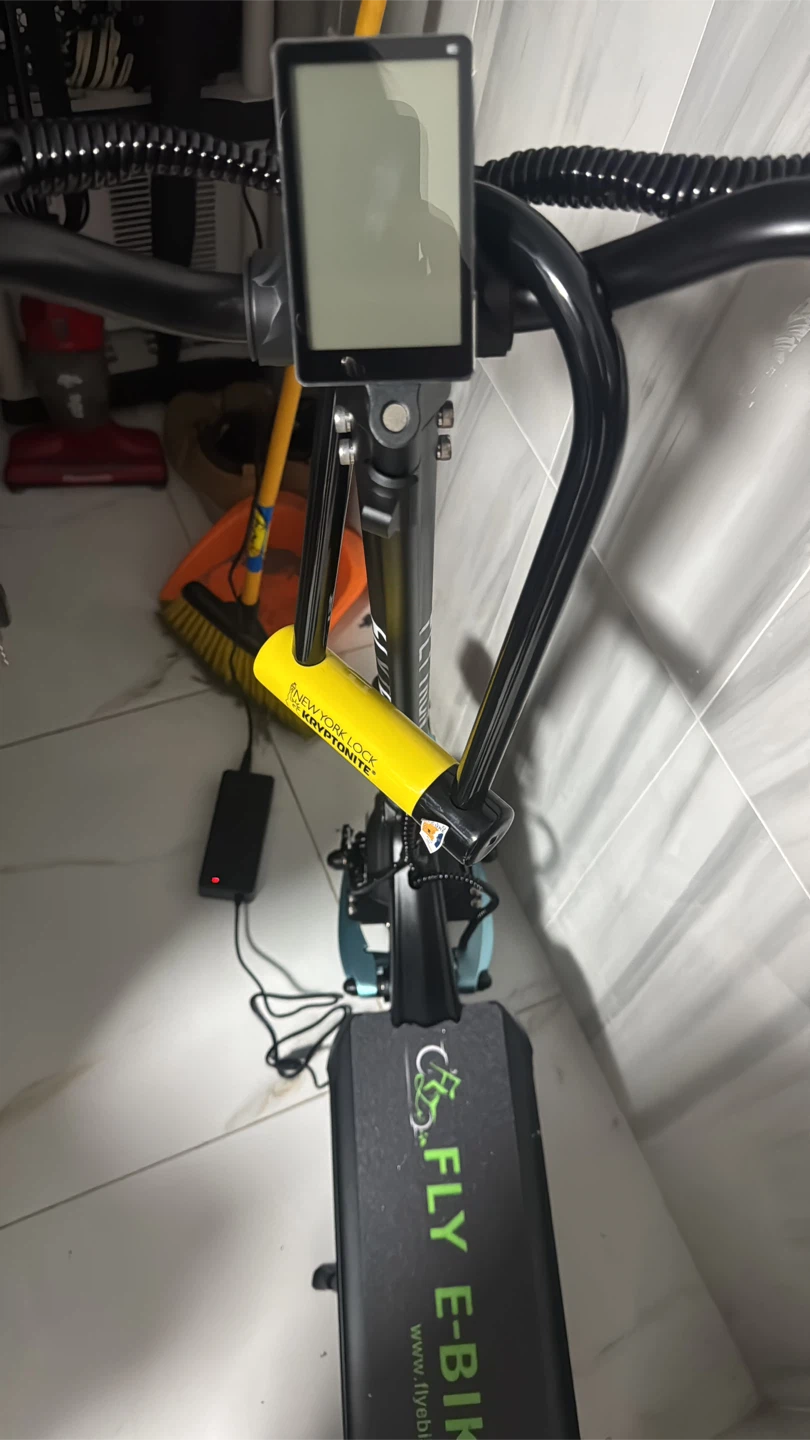Fly E-Bike Electric Scooter - photo 3