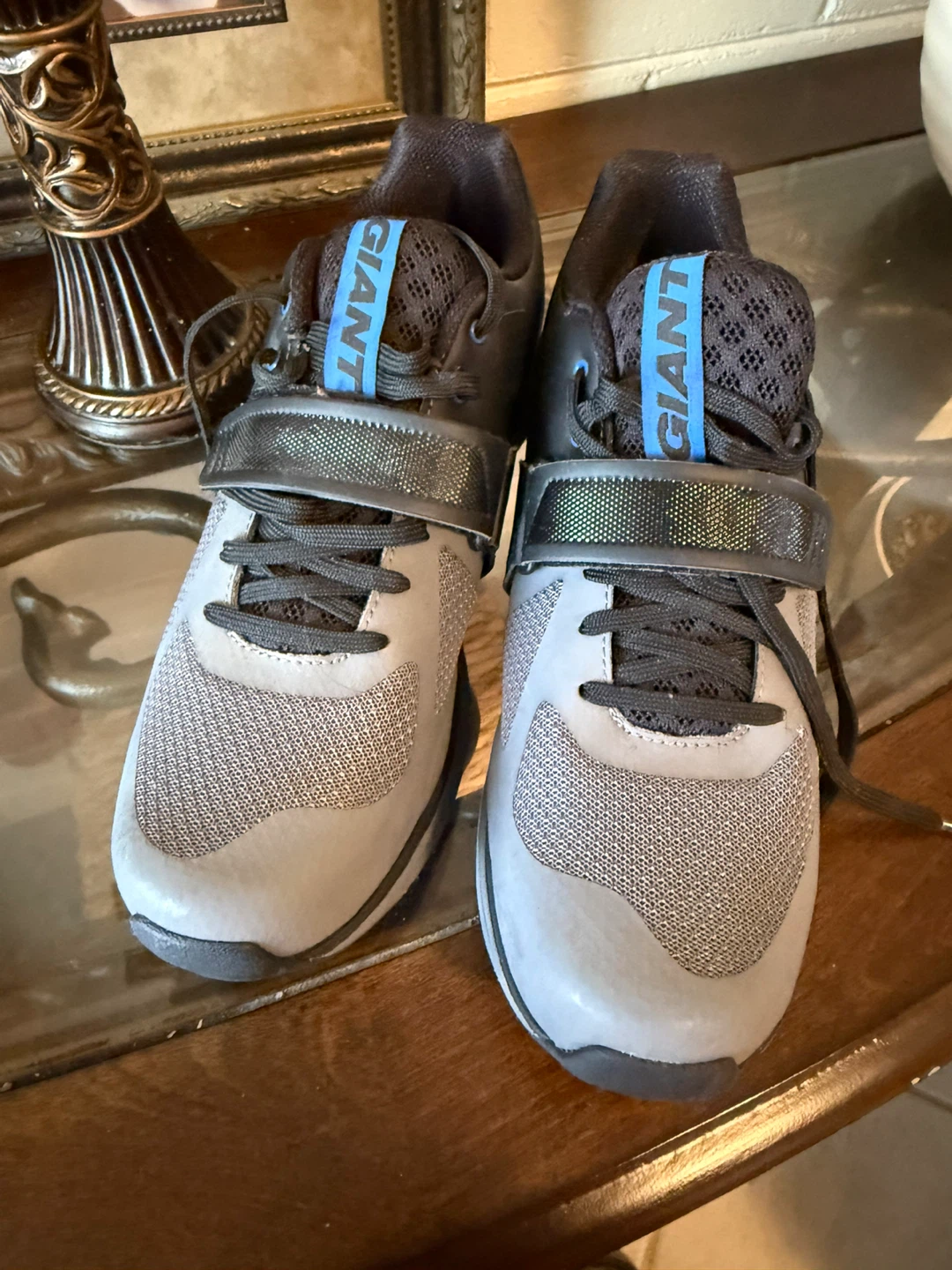 Giant Orbit Cycling Shoes - US 10