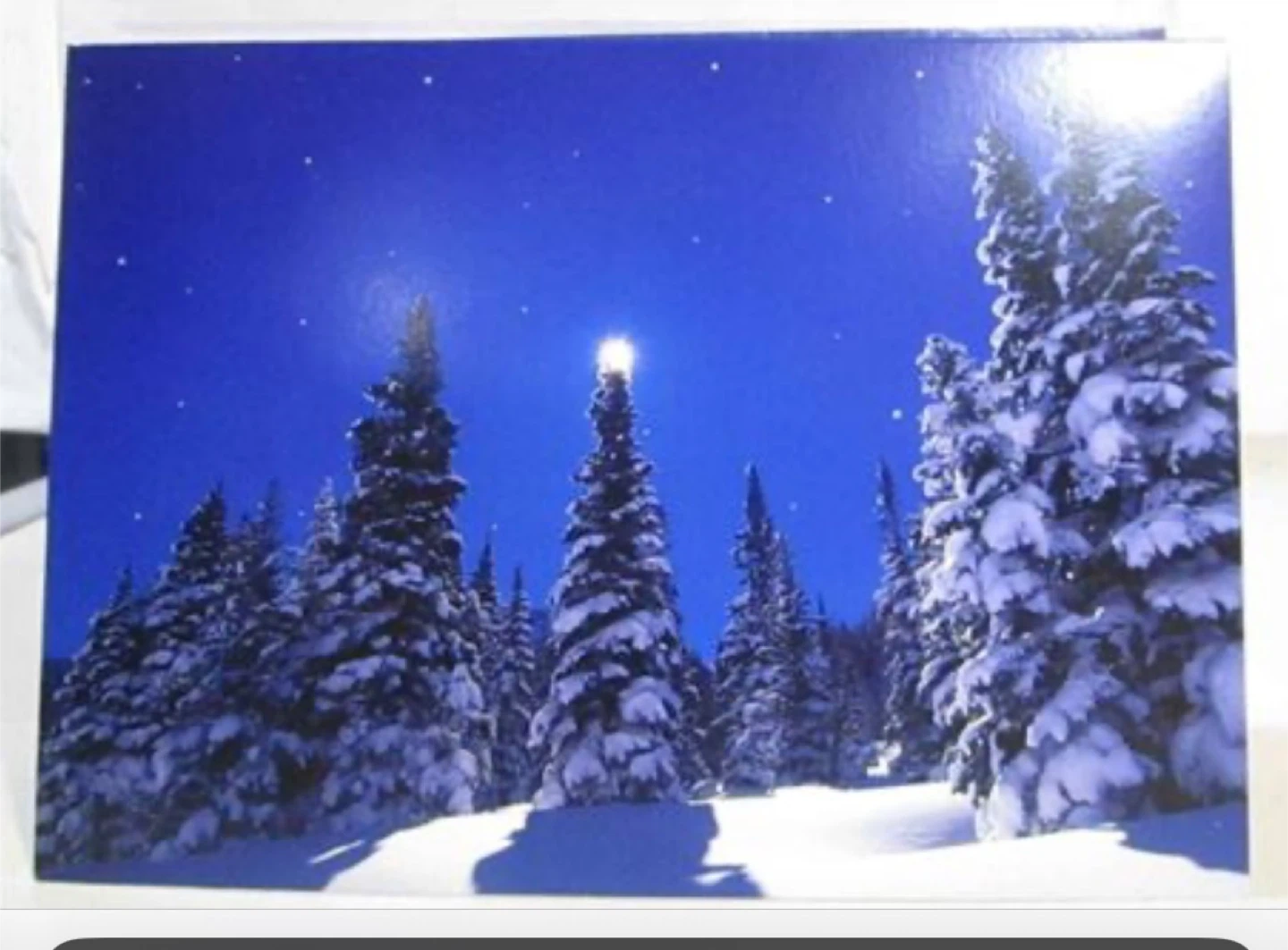 NEW Greetings Greet Cards Winter Pine Forest 32 Piece Set 5"X7"