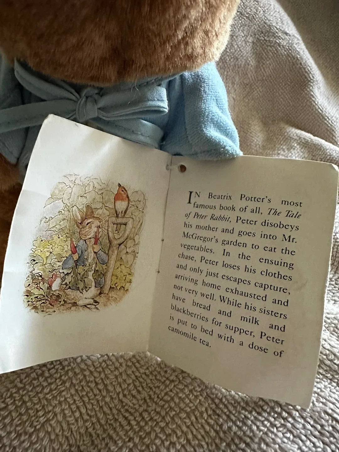 Peter Rabbit Eden Gift Plush Toy image indicator(5)