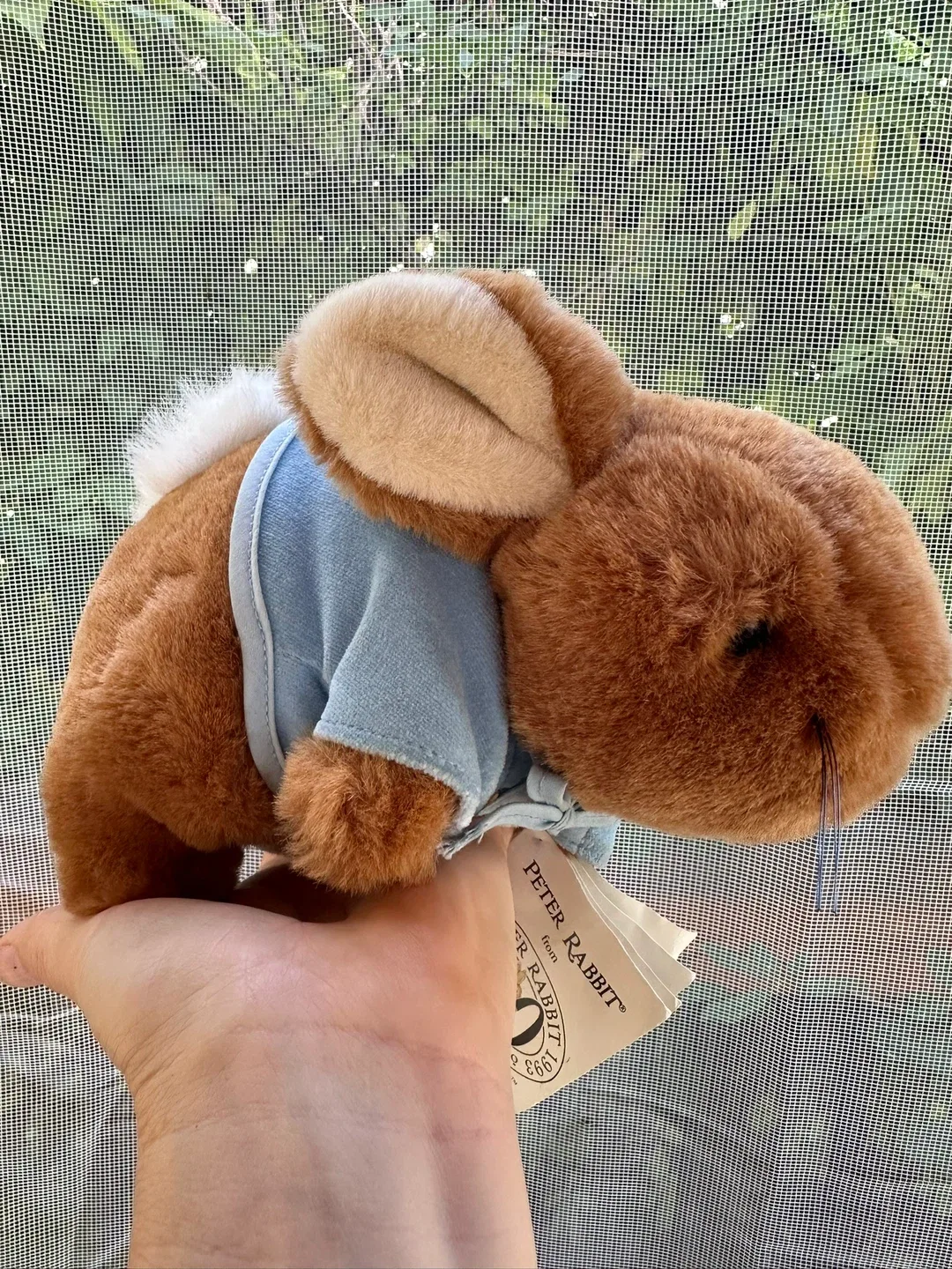 Peter Rabbit Eden Gift Plush Toy image indicator(2)