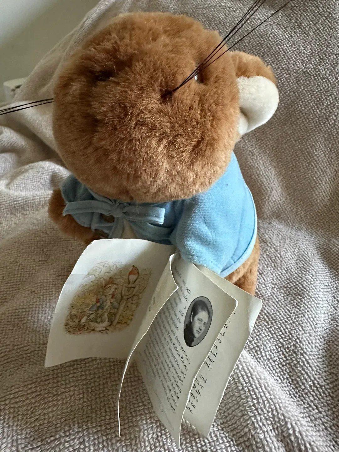 Peter Rabbit Eden Gift Plush Toy image indicator(7)