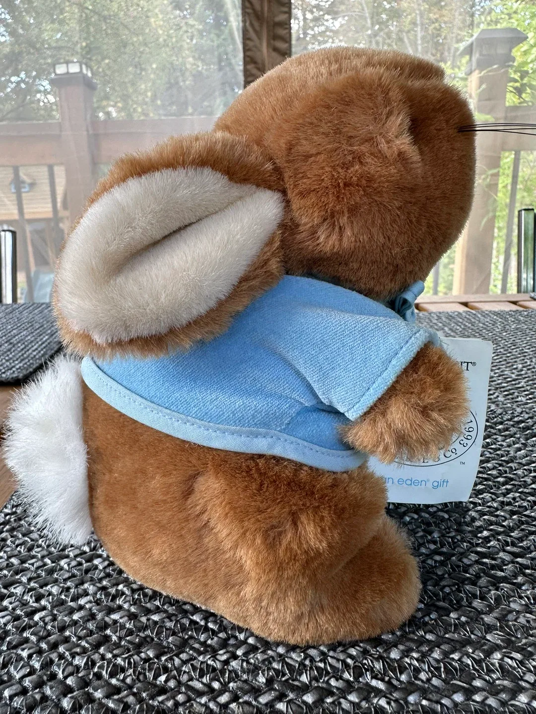 Peter Rabbit Eden Gift Plush Toy image indicator(8)