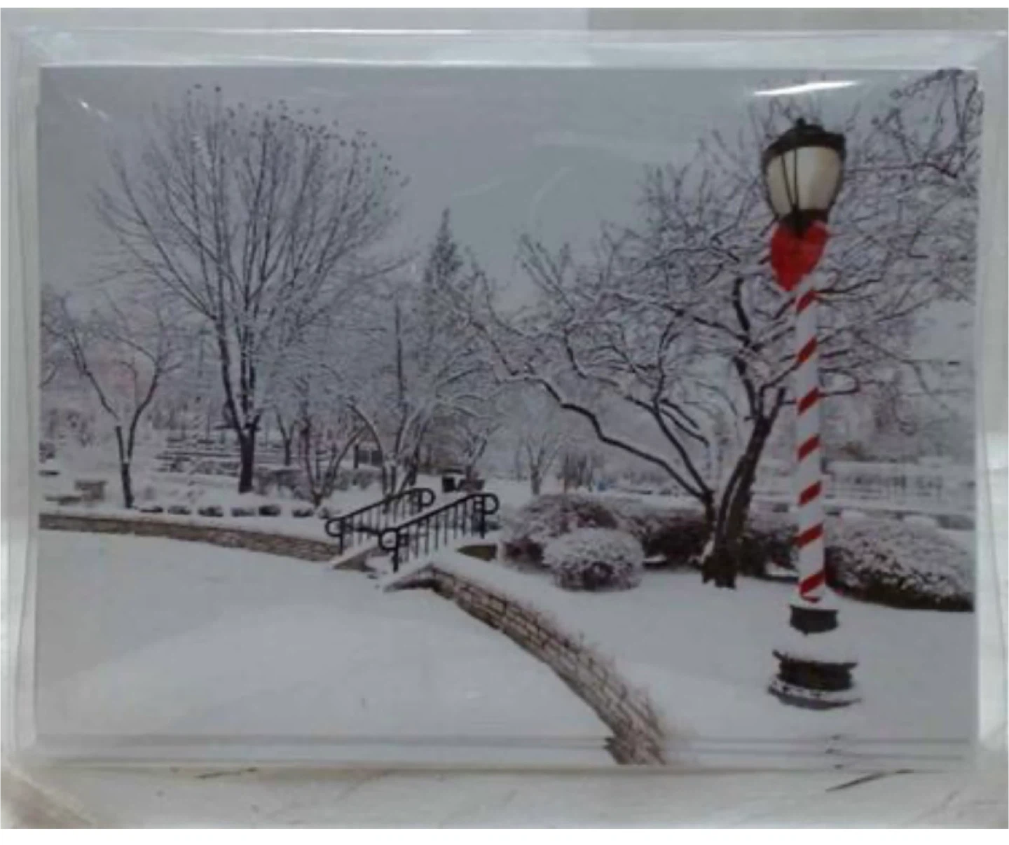NEW 5"x7" Peaceful Park Scene Greeting Cards 32pc