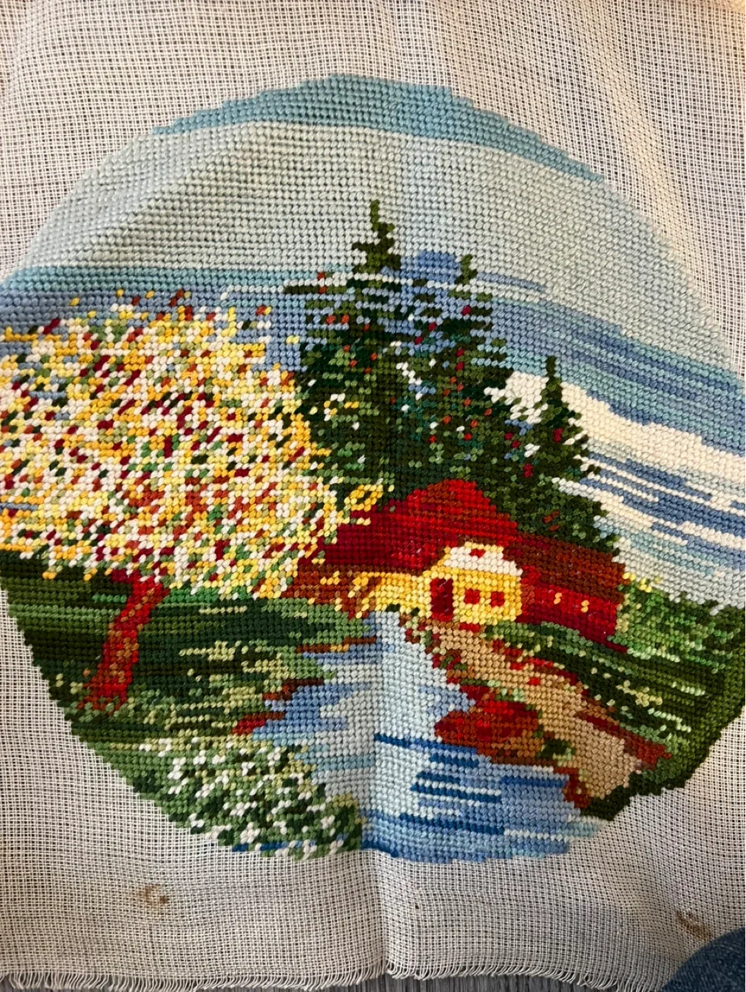 Needle point canvas thumbnail