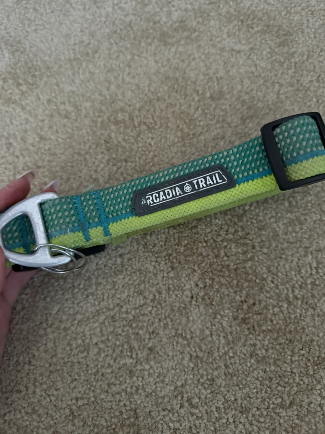 Dog collar thumbnail