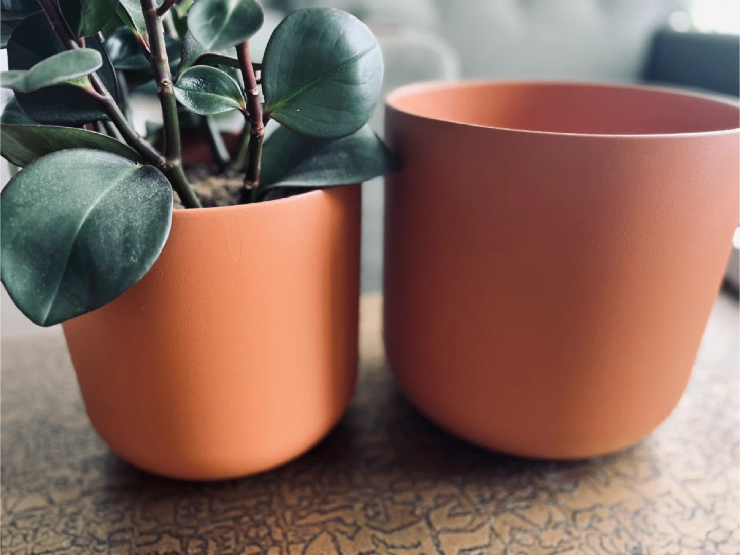 Two Large Real Terracotta Plant Pots - 9” and 8”