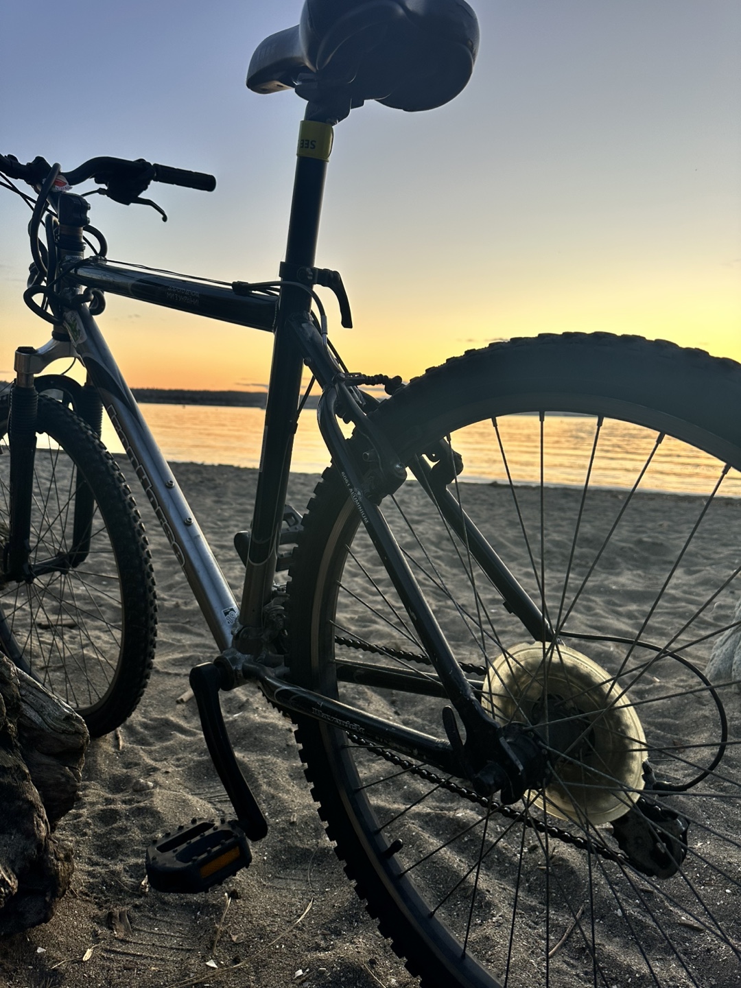 Iron Horse Men's Mountain Bike - photo 4