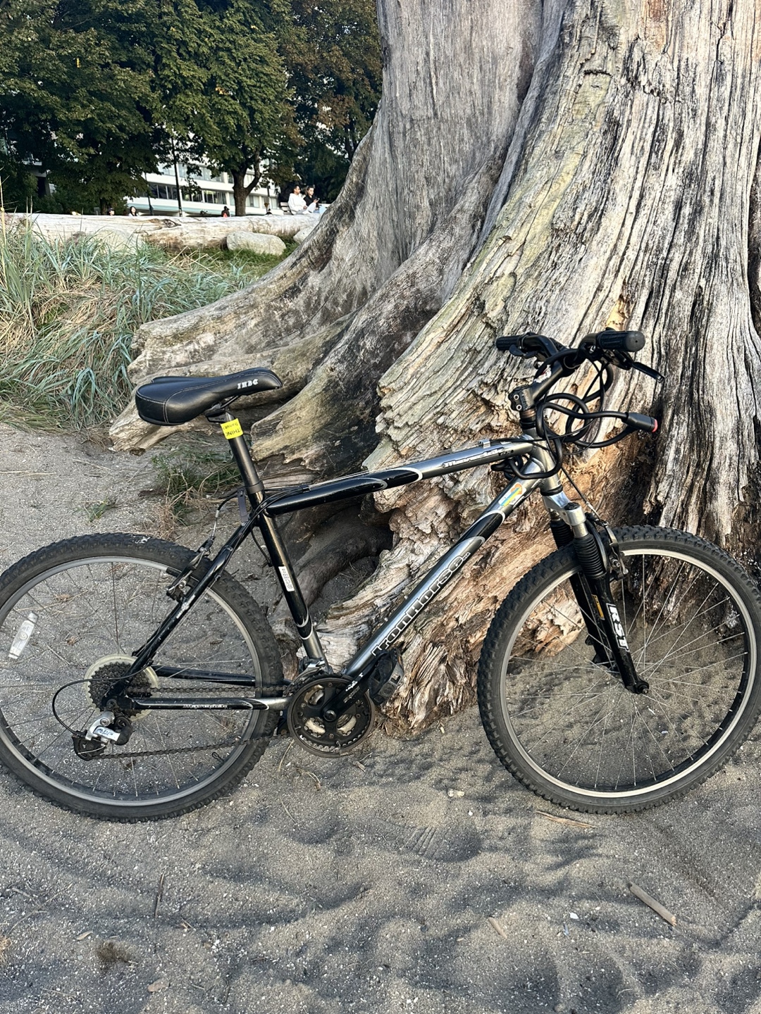 Iron Horse Men's Mountain Bike