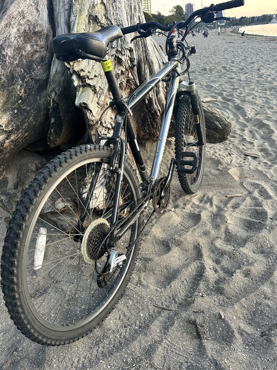 Iron Horse Men's Mountain Bike - photo 2