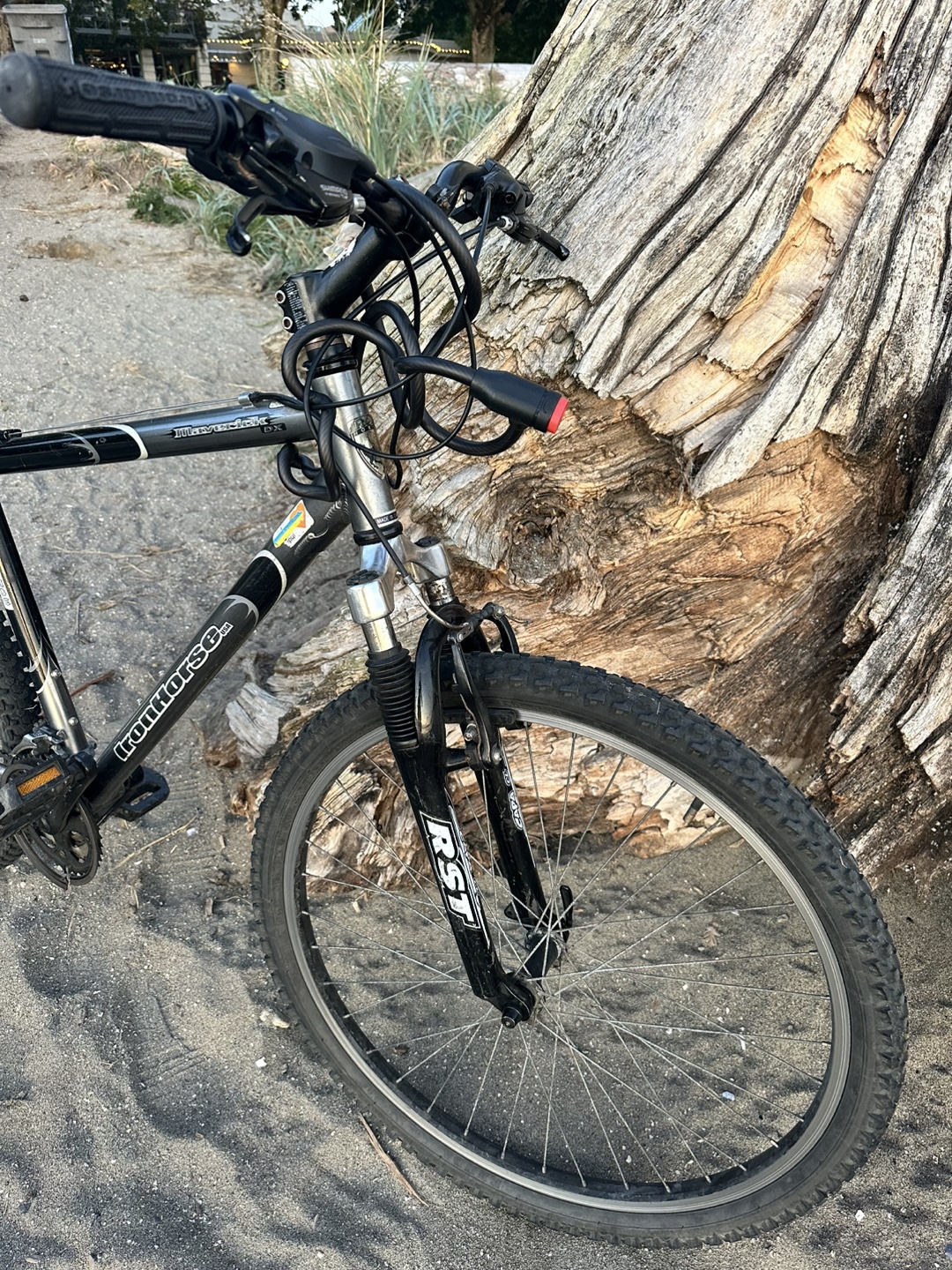 Iron Horse Men's Mountain Bike - photo 3