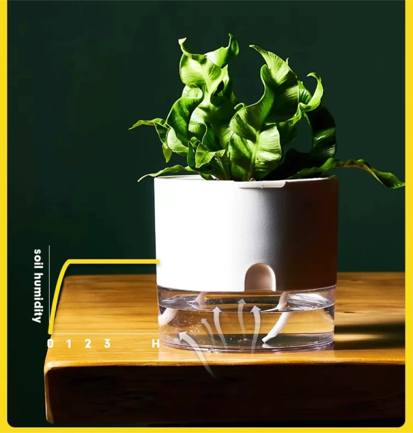 Automatic plant watering pots (set of 2) image indicator(2)