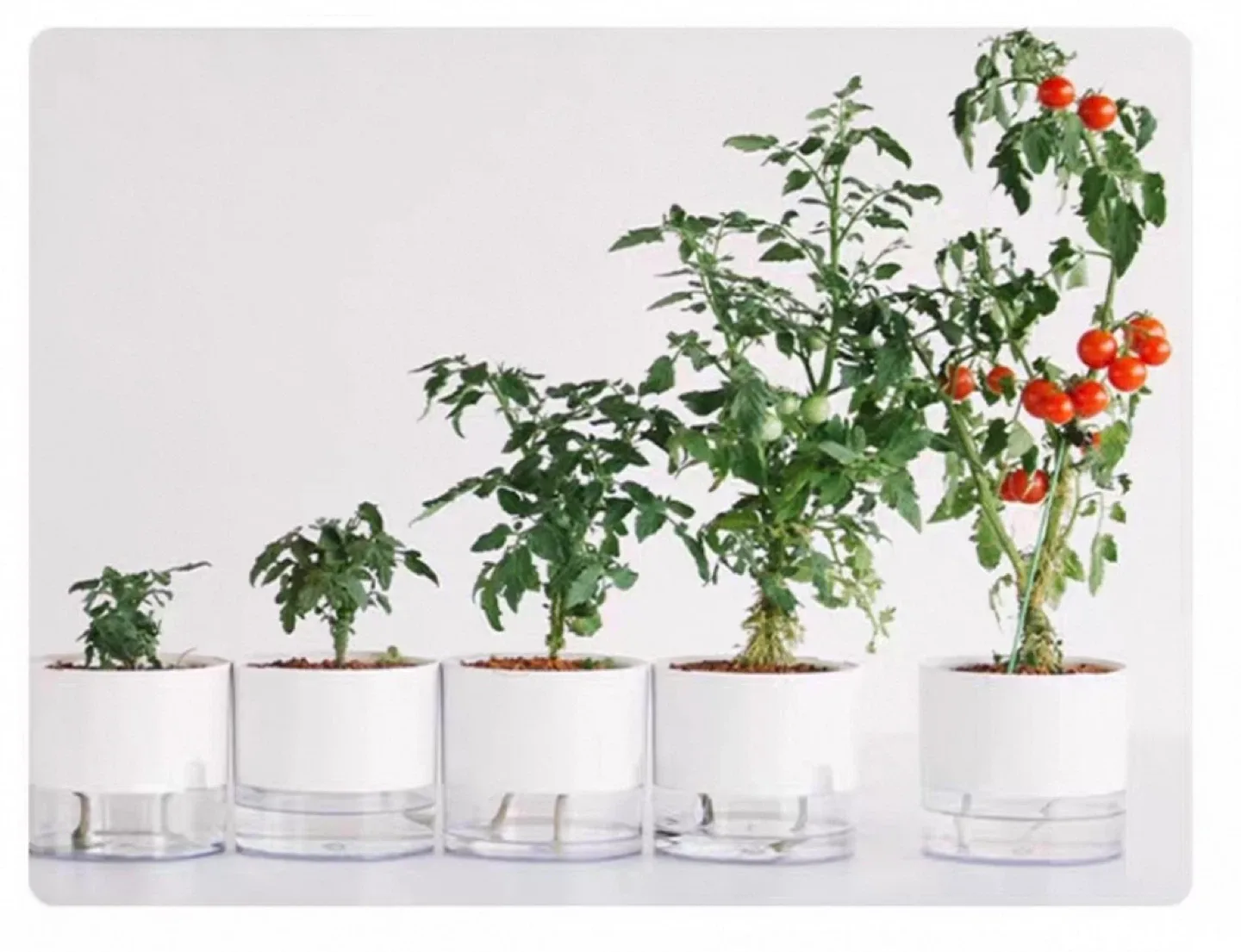 Automatic plant watering pots (set of 2) image indicator(8)