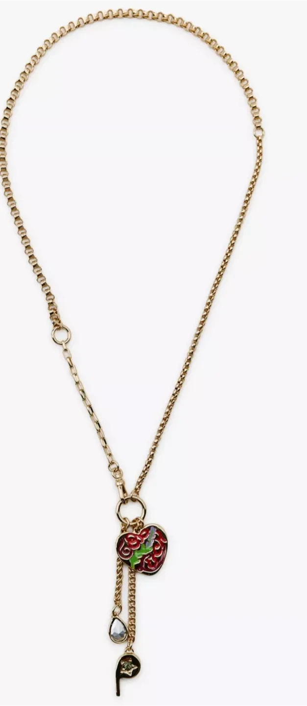 Zara Necklace with Skull and Heart Charms image indicator(3)