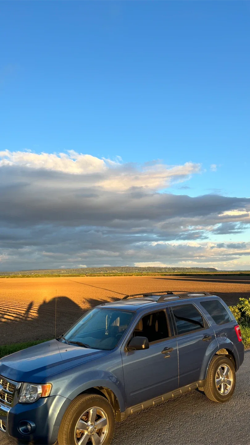 Ford escape 2010 image indicator(2)