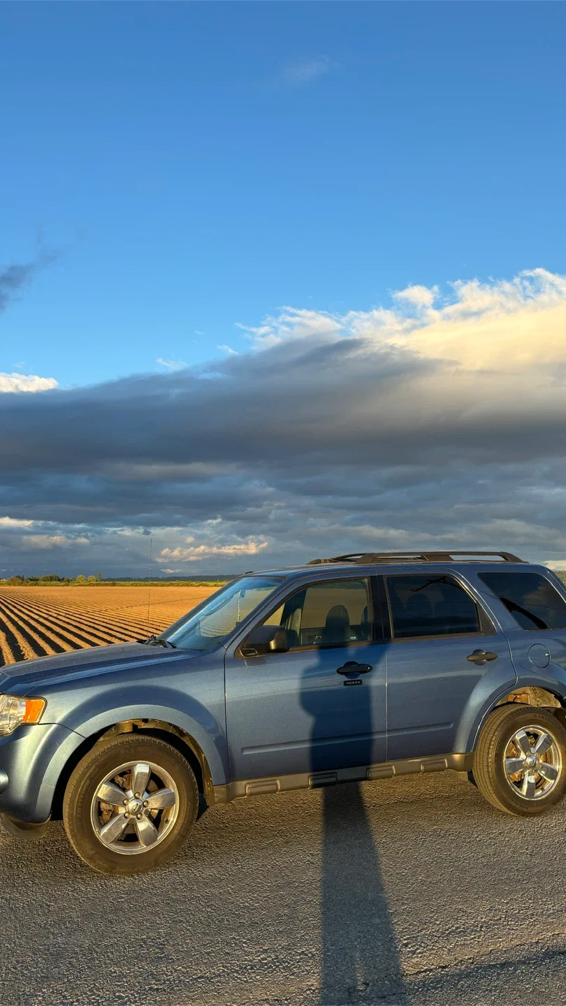 Ford escape 2010 image indicator(3)