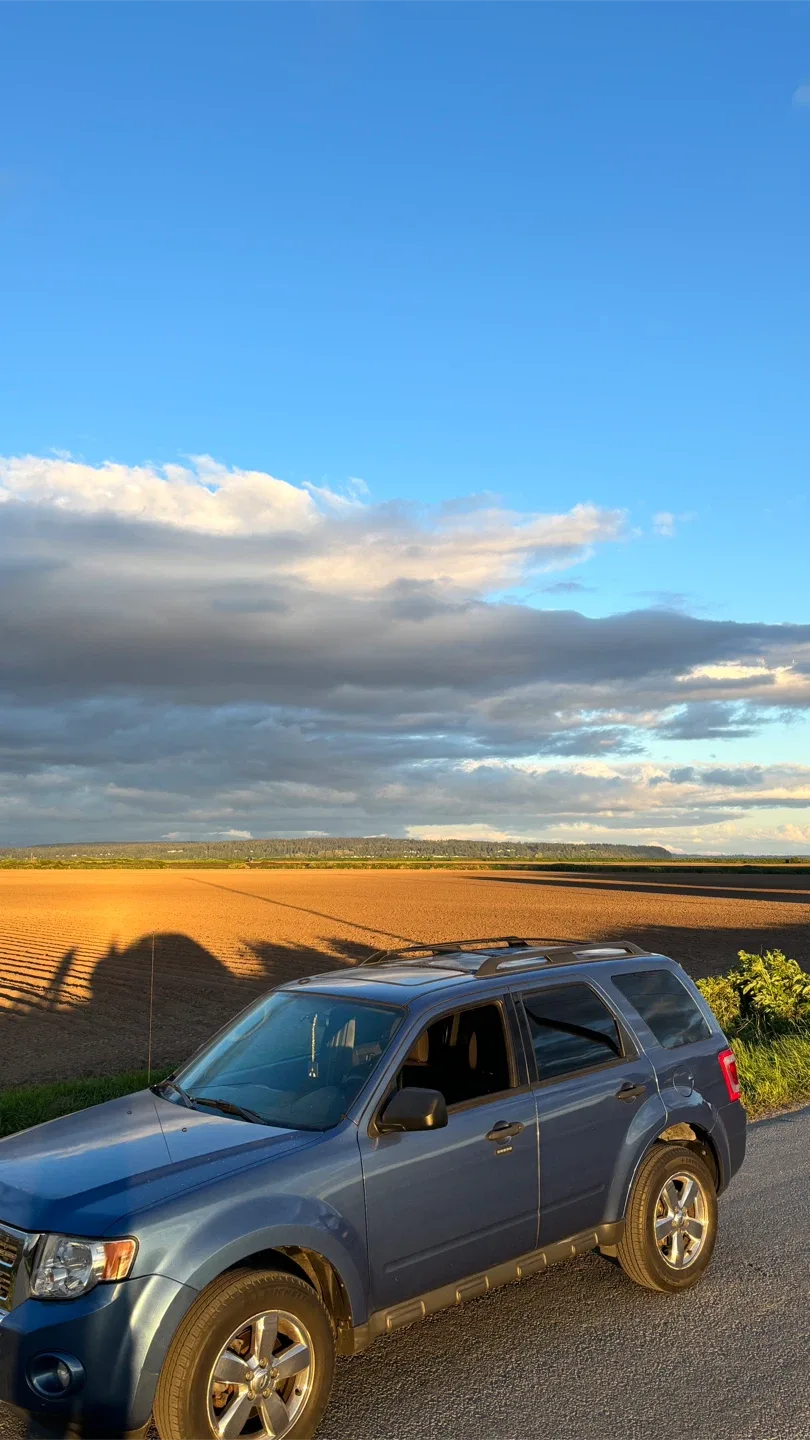 Ford escape 2010 image indicator(4)